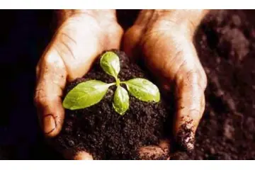 Rüyada Toprak Eşelemek Rüya Yorumu ve Anlamı