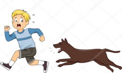 Rüyada Köpeğe Taş Atmak Rüya Yorumu ve Anlamı