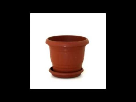 Rüyada Saksıda Toprak Görmek Rüya Yorumu ve Anlamı