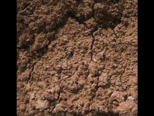 Rüyada Siyah Toprak Görmek Rüya Yorumu ve Anlamı