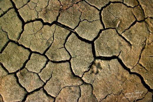 Rüyada Toprak Atmak Rüya Yorumu ve Anlamı