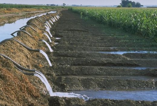 Rüyada Toprak Sulamak Rüya Yorumu ve Anlamı