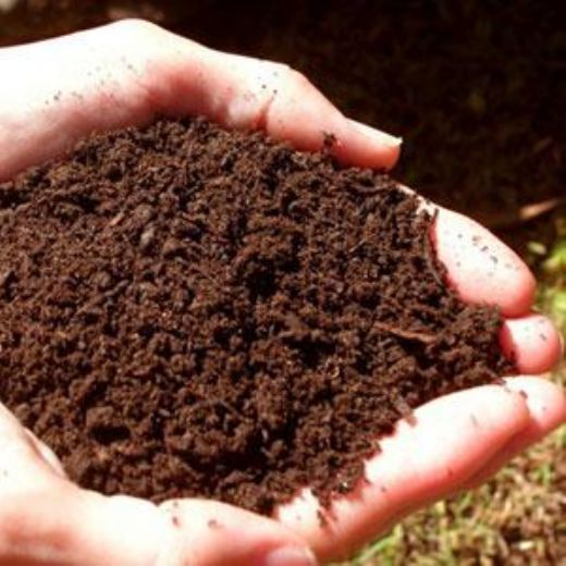 Rüyada Toprak Süpürmek Rüya Yorumu ve Anlamı