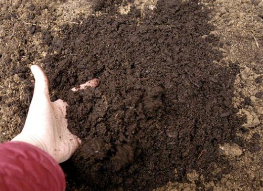 Rüyada Toprak Yemek Rüya Yorumu ve Anlamı