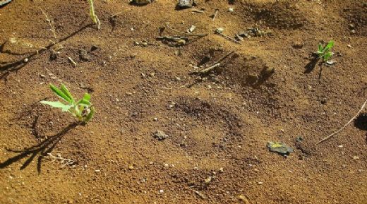 Rüyada Toprak Yığını Görmek Rüya Yorumu ve Anlamı