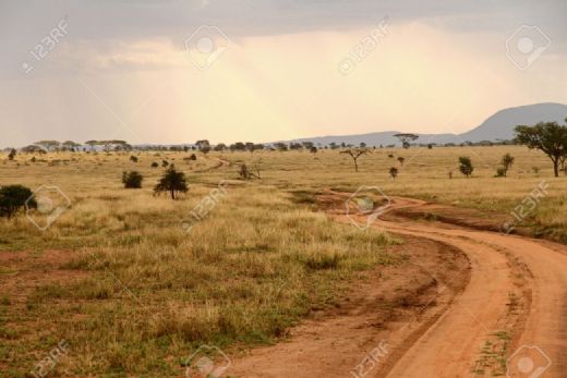 Rüyada Toprak Yol Görmek Rüya Yorumu ve Anlamı