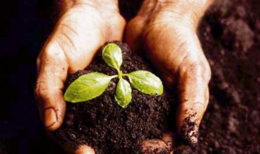 Rüyada Toprakla Uğraşmak Rüya Yorumu ve Anlamı